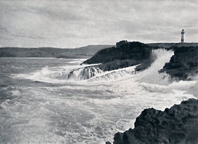 En sjarmerende utsikt over det pittoreske kystlandskapet i N.S.W., c1900. av Unbekannt