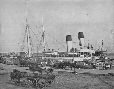 En bomullsdamper i New Orleans, 1800-tallet av Unbekannt