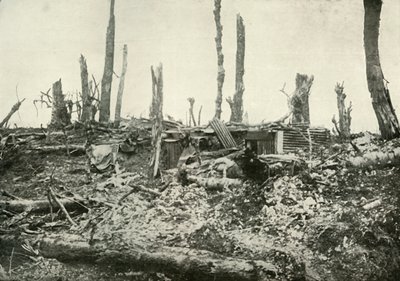 A Dug-Out i What Was Once A Sylvan Wood, 1919. av Unbekannt