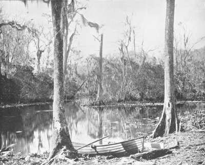 A Feeder of the St. Johns River, Florida, USA, c1900. av Unbekannt