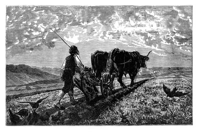 En fransk landbruker, ca 1890 av Unbekannt