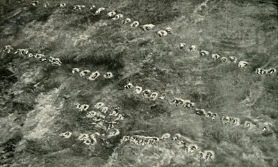Et infanteriangrep over ingenmannsland, 1919. av Unbekannt