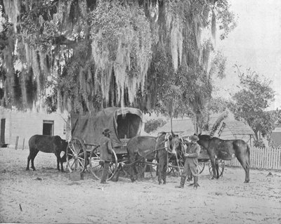 En kjøpmann fra San Antonio, Texas, USA, c1900. av Unbekannt