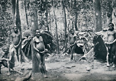 En pygmélandsby, Nordøst-Kongo-bassenget, 1912 av Unbekannt