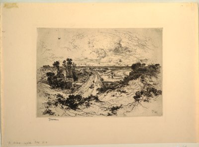 A Road Near the Sea, East Hampton, New York av Unbekannt