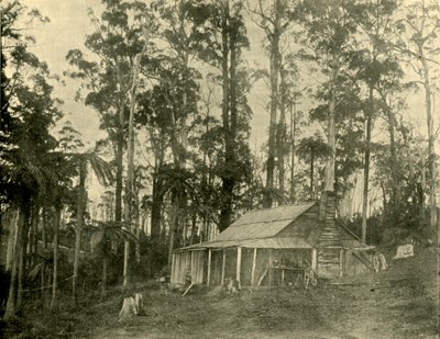 En rustikk bolig, 1901. av Unbekannt