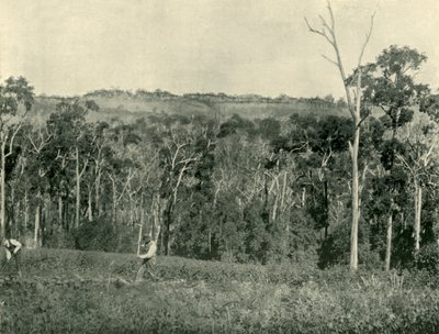 En viktoriansk fjellgård, 1901. av Unbekannt