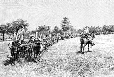 En konvoi av vogner, Sør-Amerika, 1895 av Unbekannt