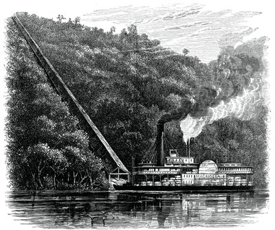 En bomullssjakt, USA, c1880 av Unbekannt