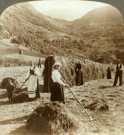 En bondefamilie som lager høy i en solrik åker mellom fjellene, Roldal, Norge, ca 1905. av Unbekannt