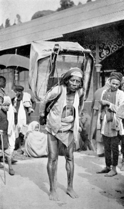 En arbeider som bærer te, Darjeeling, Vest-Bengal, India, c1910 av Unbekannt