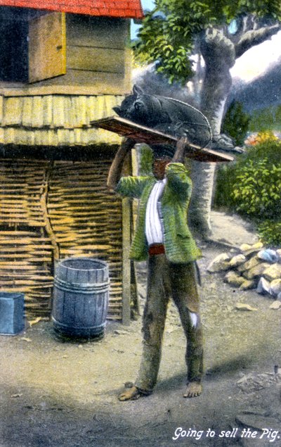 En mann på vei til markedet for å selge en gris, Jamaica, ca. 1900-tallet av Unbekannt