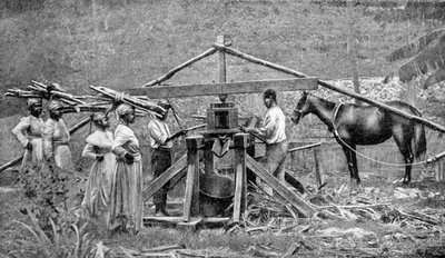 Et tre, hestedrevet knuseverk av sukkerrør, Vestindia, 1922 av Unbekannt