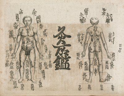 Akupunkturkart for menneskekroppen som viser moxibustion-punkter (Moxabustion-diagram som viser hvor aper bør unngås av Unbekannt