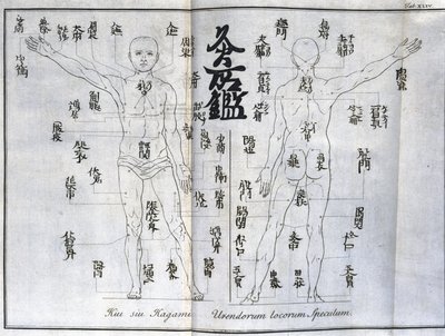 Akupunktur: kart over menneskekroppen som indikerer moxibussjonspunkter, Japan (diagram relatert til moxa, c 1690) av Unbekannt