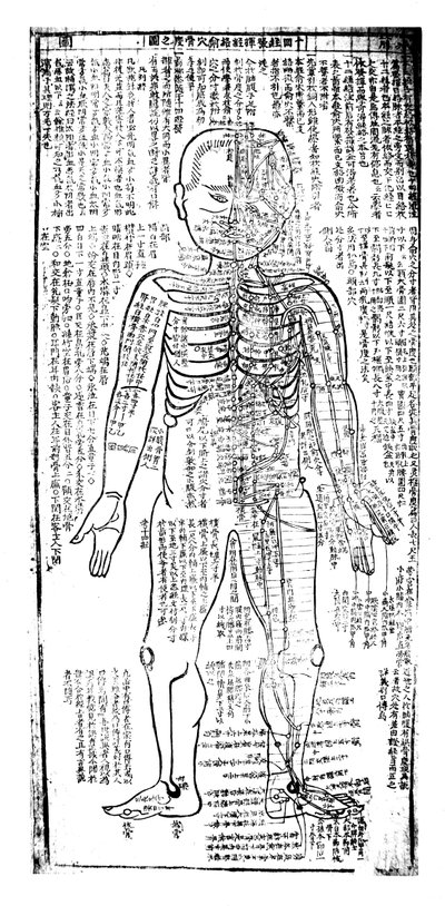 Akupunkturdiagram for forsiden av kroppen, japansk, 1800-tallet av Unbekannt