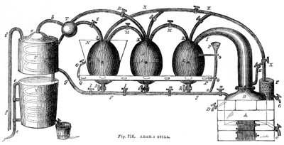Adams still, 1886 av Unbekannt