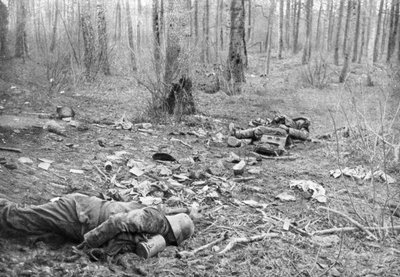 Etterdønningene av kampene i parken Plessis-de-Roye, Picardie, Frankrike, 30. mars 1918 av Unbekannt