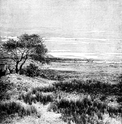 Agha Valley, Central Pampa, Argentina, 1895 av Unbekannt
