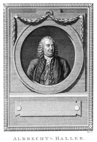 Albrecht von Haller , sveitsisk lege og vitenskapsmann, c1770 c1780 av Unbekannt