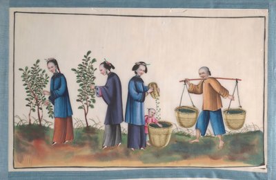 Album som inneholder tolv malerier av mennesker som lager silke, 1800-tallet. av Unbekannt