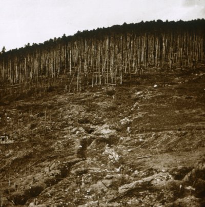 Alsace, c1914-c1918 av Unbekannt
