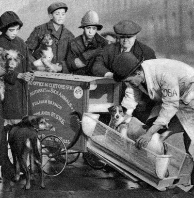 Ambulanse for dispensary for syke dyr av de fattige, London, 1926-1927 av Unbekannt