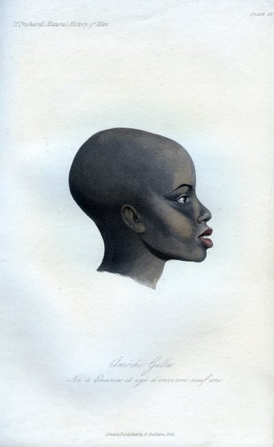 Amochi Galla, et portrett av en Galla, 1848 av Unbekannt