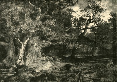 En gammel tysk skog, 1890. av Unbekannt