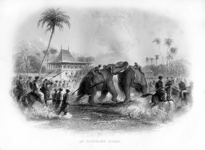 En elefantkamp, India, 1800-tallet av Unbekannt