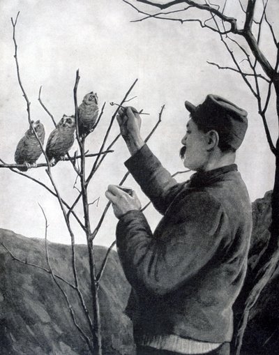 En original grøftedekorasjon, Frankrike, første verdenskrig, 1915 av Unbekannt
