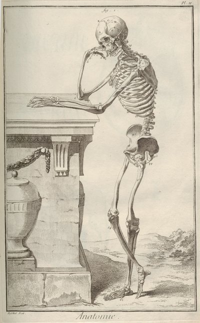 Anatomi. Fra Encyclopédie av Denis Diderot og Jean Le Rond dAlembert, 1751-1765. av Unbekannt