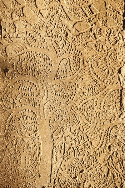 Angkor Wat, utskåret detalj på WallTree, Siem Reap, Kambodsja av Unbekannt