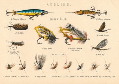 Fiske, 1900-tallet. av Unbekannt