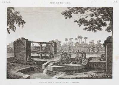 Animal Power Wheel og bøtte vanningssystem, Egypt, ca 1798 av Unbekannt