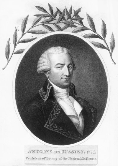 Antoine de Jussieu , fransk botaniker fra 1700-tallet, 1807 av Unbekannt