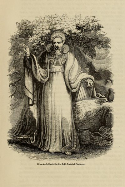 Arch-Druid i sin fulle rettslige kostyme Fra boken Old England: A Pictorial Museum, 1845 av Unbekannt