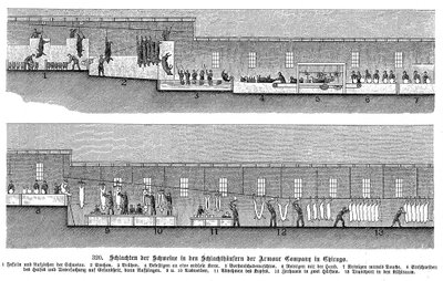 Armour Companys griseslakteri, Chicago, Illinois, USA, 1895 av Unbekannt