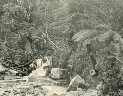 Ved St. Crispins Well, 1901. av Unbekannt