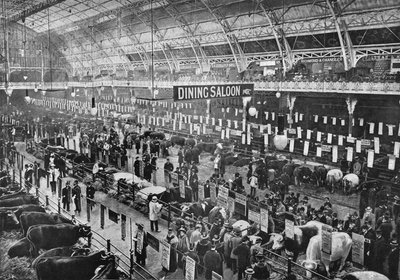 På storfeutstillingen Smithfield Club, Agricultural Hall, Islington, London, 1902 1903 av Unbekannt