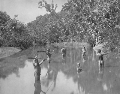 Australian Aborigines Spearing Fish, 1800-tallet av Unbekannt