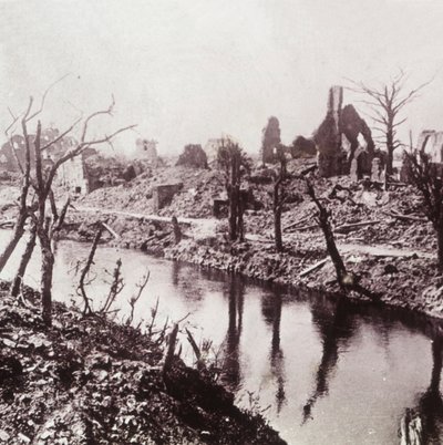 Banks of the Yser, Belgia, c1914-c1918 av Unbekannt