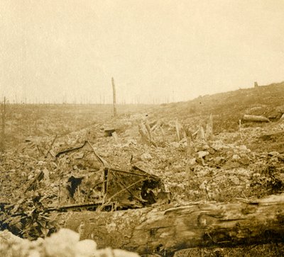 Battlefield, Bezonvaux, Verdun, Nord-Frankrike, c1914-c1918 av Unbekannt