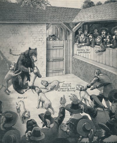 Bear-baiting in a Stuart Bear Pit, c1934 av Unbekannt