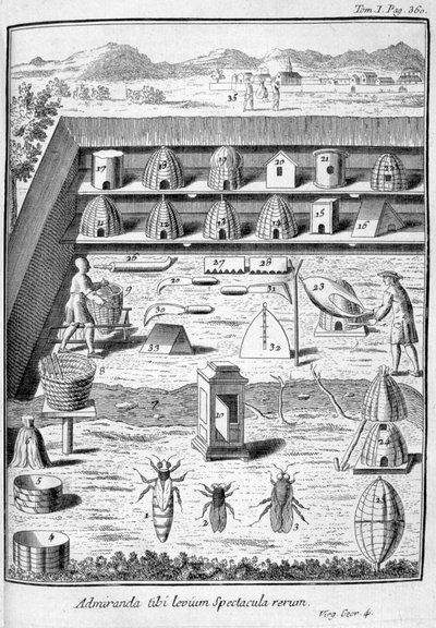 Birøkter, 1775 av Unbekannt