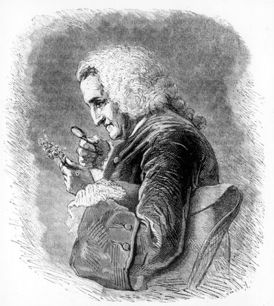 Bernard de Jussieu , fransk botaniker fra 1700-tallet, 1880 av Unbekannt