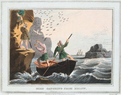 Fuglefangst nedenfra, Shetlandsøyene, 1813 av Unbekannt
