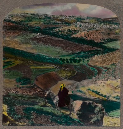 Fugleperspektiv av Betlehem, med vingårder og olivenlunder, c1900 av Unbekannt