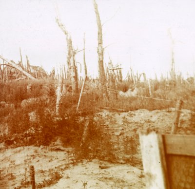 Sprengt tre, Nieuwpoort, Flandern, Belgia, c1914-c1918 av Unbekannt