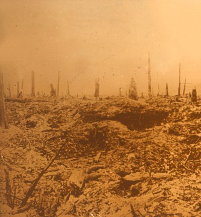 Bois du Chapitre, Vaux, Nord-Frankrike, c1914-c1918 av Unbekannt